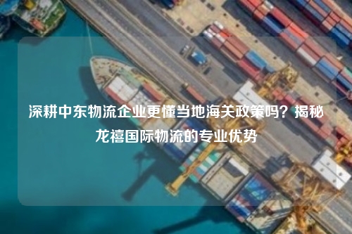 深耕中东物流企业更懂当地海关政策吗？揭秘龙禧国际物流的专业优势
