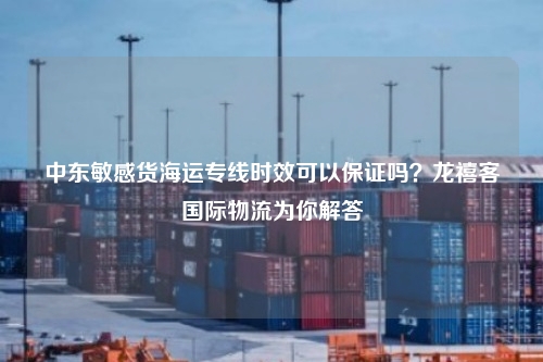 中东敏感货海运专线时效可以保证吗？龙禧客国际物流为你解答
