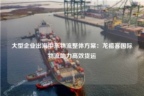 大型企业出海中东物流整体方案:龙禧客国际物流助力高效货运