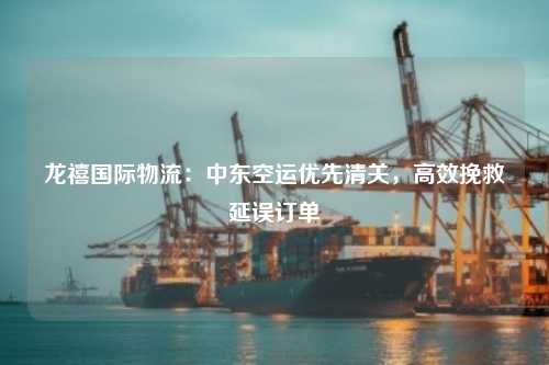 龙禧国际物流：中东空运优先清关，高效挽救延误订单