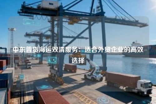 中东普货海运双清服务：适合外贸企业的高效选择