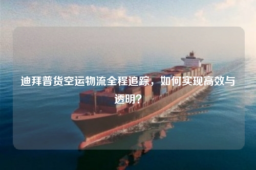 迪拜普货空运物流全程追踪,如何实现高效与透明?
