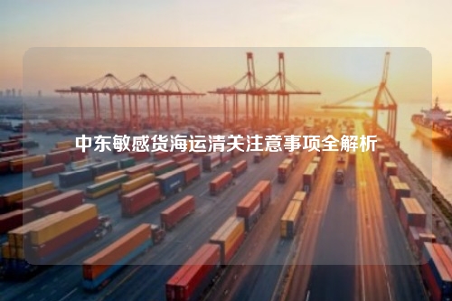中东敏感货海运清关注意事项全解析