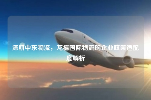 深耕中东物流,龙禧国际物流的企业政策适配度解析