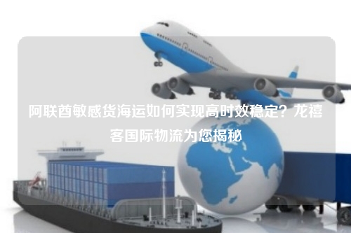 阿联酋敏感货海运如何实现高时效稳定?龙禧客国际物流为您揭秘