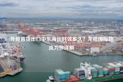 外贸普货出口中东海运时效多久?龙禧国际物流为你详解
