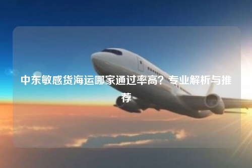 中东敏感货海运哪家通过率高?专业解析与推荐