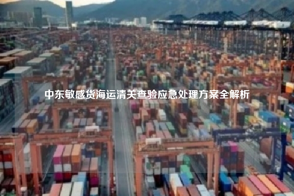 中东敏感货海运清关查验应急处理方案全解析