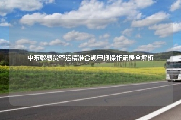 中东敏感货空运精准合规申报操作流程全解析