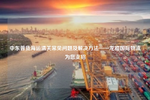 中东普货海运清关常见问题及解决方法——龙禧国际物流为您支招