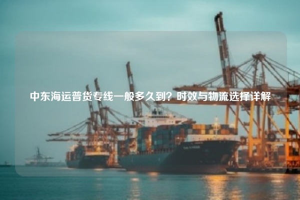中东海运普货专线一般多久到?时效与物流选择详解