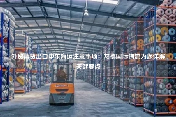 外贸普货出口中东海运注意事项:龙禧国际物流为您详解关键要点