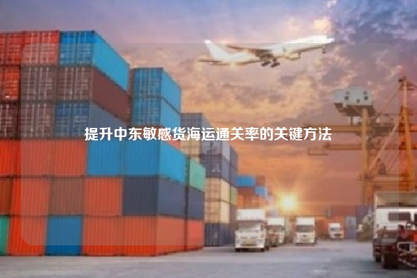 提升中东敏感货海运通关率的关键方法