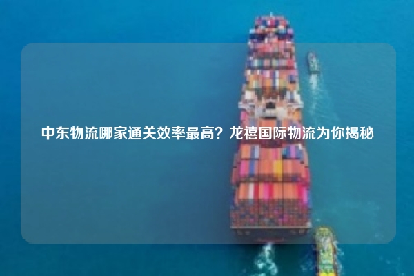 中东物流哪家通关效率最高?龙禧国际物流为你揭秘
