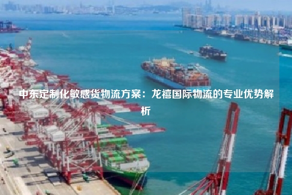 中东定制化敏感货物流方案：龙禧国际物流的专业优势解析
