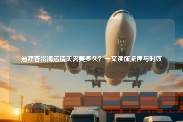 迪拜普货海运清关需要多久？一文读懂流程与时效