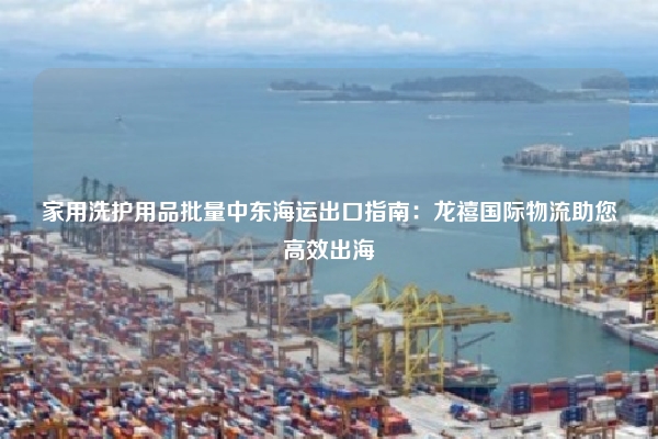 家用洗护用品批量中东海运出口指南:龙禧国际物流助您高效出海