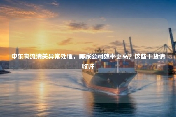 中东物流清关异常处理,哪家公司效率更高?这些干货请收好