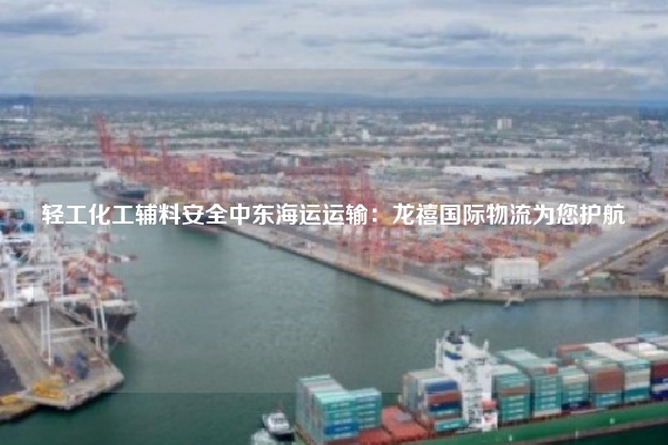 轻工化工辅料安全中东海运运输：龙禧国际物流为您护航