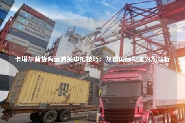 卡塔尔普货海运清关申报技巧:龙禧国际物流为您解析