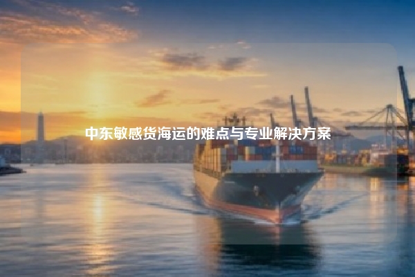 中东敏感货海运的难点与专业解决方案