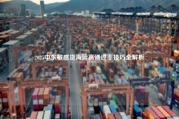 2025中东敏感货海运高通过率技巧全解析