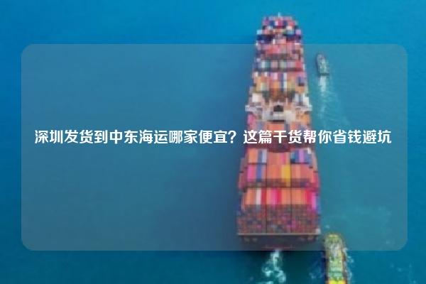 深圳发货到中东海运哪家便宜?这篇干货帮你省钱避坑