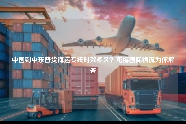 中国到中东普货海运专线时效多久？龙禧国际物流为你解答