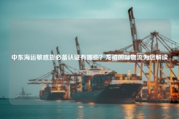 中东海运敏感货必备认证有哪些？龙禧国际物流为您解读