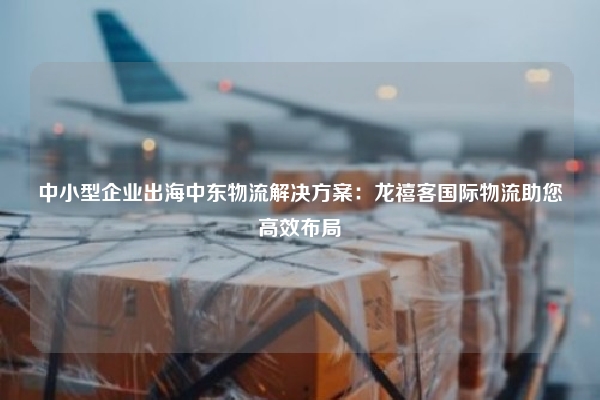 中小型企业出海中东物流解决方案：龙禧客国际物流助您高效布局