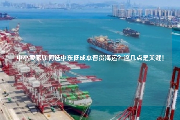 中小卖家如何选中东低成本普货海运？这几点是关键！