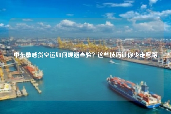 中东敏感货空运如何规避查验？这些技巧让你少走弯路