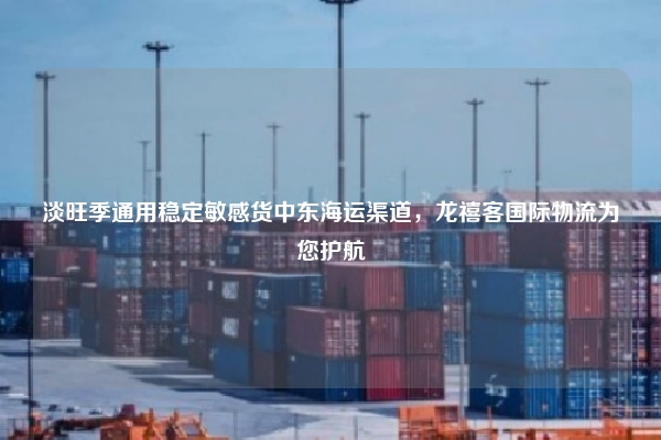 淡旺季通用稳定敏感货中东海运渠道，龙禧客国际物流为您护航