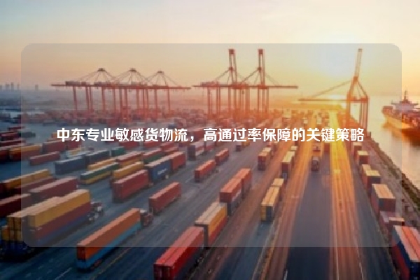 中东专业敏感货物流，高通过率保障的关键策略