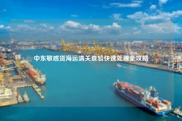 中东敏感货海运清关查验快速处理全攻略