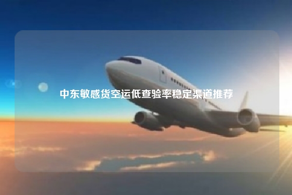 中东敏感货空运低查验率稳定渠道推荐