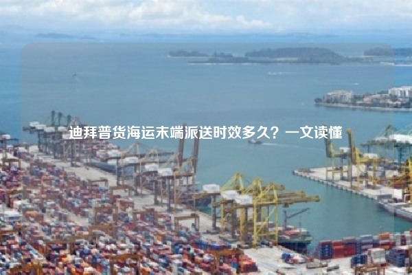 迪拜普货海运末端派送时效多久？一文读懂