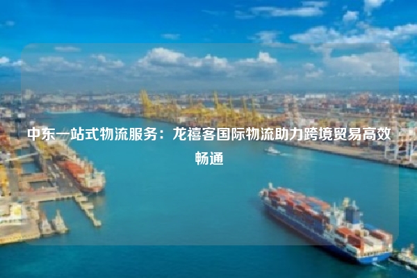 中东一站式物流服务：龙禧客国际物流助力跨境贸易高效畅通