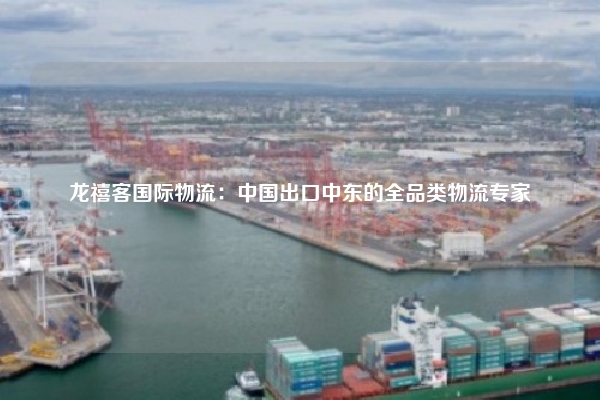 龙禧客国际物流：中国出口中东的全品类物流专家