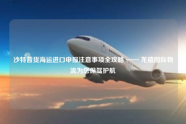 沙特普货海运进口申报注意事项全攻略 —— 龙禧国际物流为您保驾护航