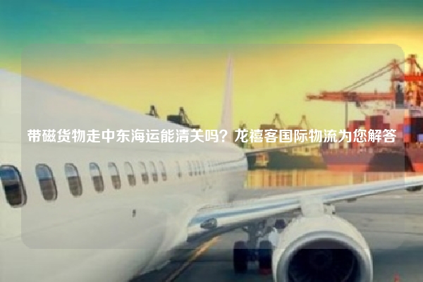 带磁货物走中东海运能清关吗？龙禧客国际物流为您解答