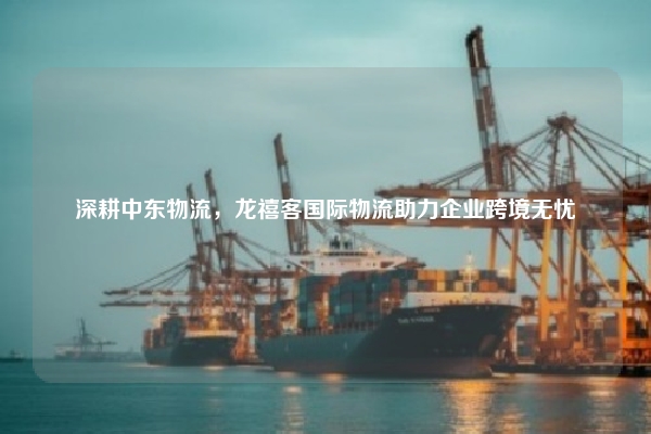 深耕中东物流，龙禧客国际物流助力企业跨境无忧