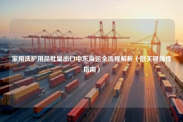 家用洗护用品批量出口中东海运全流程解析（附关键操作指南）