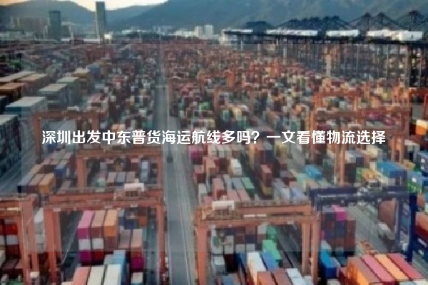 深圳出发中东普货海运航线多吗？一文看懂物流选择