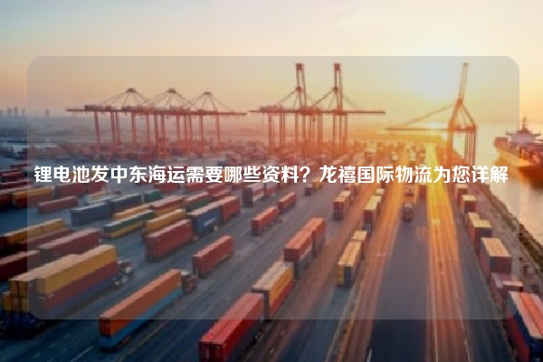 锂电池发中东海运需要哪些资料？龙禧国际物流为您详解