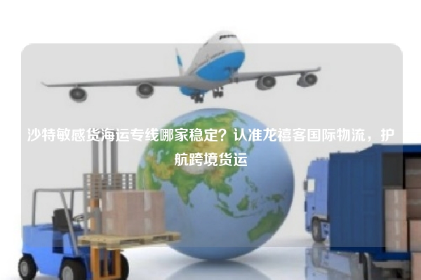 沙特敏感货海运专线哪家稳定？认准龙禧客国际物流，护航跨境货运
