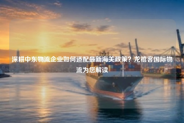 深耕中东物流企业如何适配最新海关政策？龙禧客国际物流为您解读