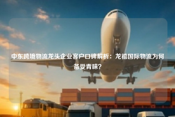 中东跨境物流龙头企业客户口碑解析：龙禧国际物流为何备受青睐？