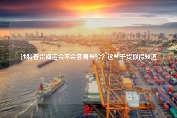 沙特普货海运会不会容易查验？这些干货你得知道