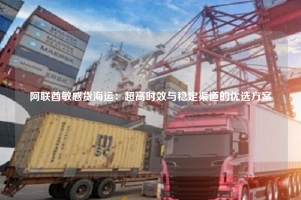 阿联酋敏感货海运：超高时效与稳定渠道的优选方案